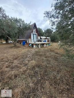 Atakul Gyodan Doğa Mahallesinde 1300m2 Satılık Tarla Ve Bungalov