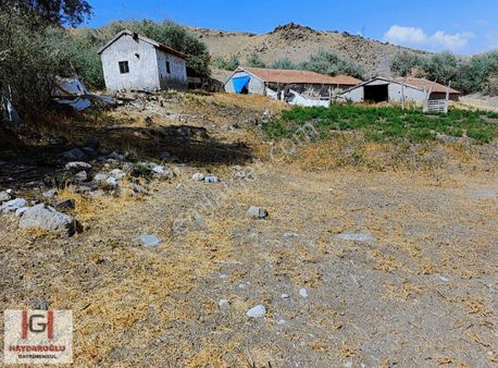 Kayseri Akın'da Tek Tapu Bağevlik Arsa.