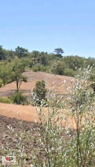 Kütahya Merkezde Satılık Arsa!!!