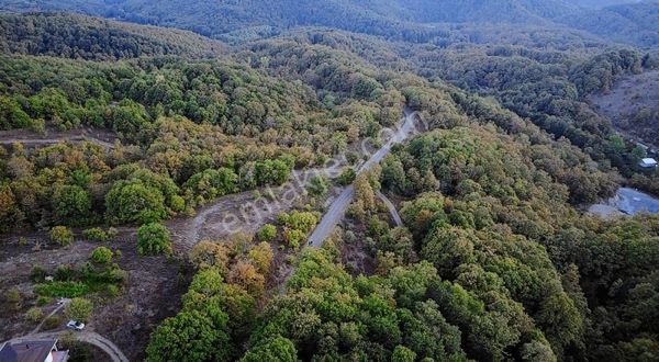 Demirköy Gökyaka'da 3.452 M2 Tek Tapu