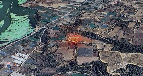 Remax Ümit Doğan Dan Geyve Kozanda Satılık Tarla