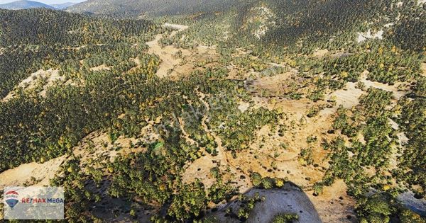 Kumluca Gölcük Mahallesi'nde Satılık Tarla