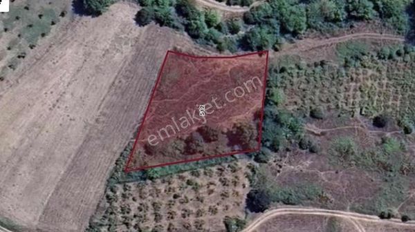 Podyum Gayrimenkul'den Bursa Mustafakemalpaşa Çaltılıbük Tarla