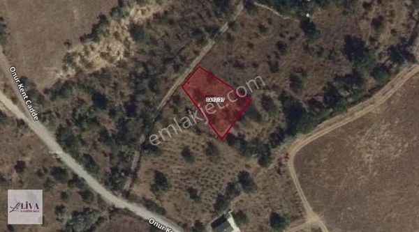 Liva'dan Reşadiye'de 590 M² Tek Tapu Fırsat Bağ