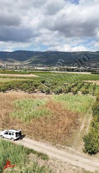 Pamukova Hayrettin Köyünde Resmi Yollu Otobna 1km 1440 M2 Tarla