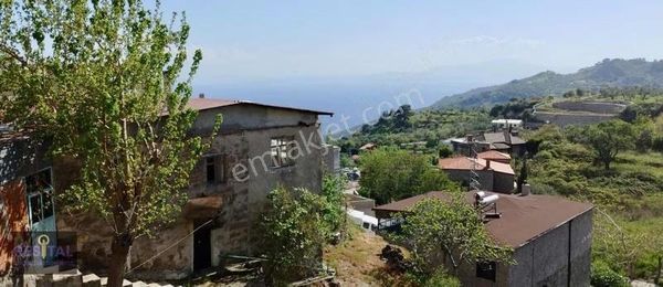 Assos Kayalar Köyünde Deniz Manzaralı Müstakil Taş Ev