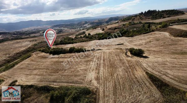 Duhan Emlaktan Kabaklıda Otoyol Gişelere Yakın Satılık Tarla
