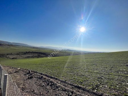 Ayaş Merkeze Yakın Hazır Kurulu Düzen 250m2 Sadece Telefon Parasına Hobi Bahçesi