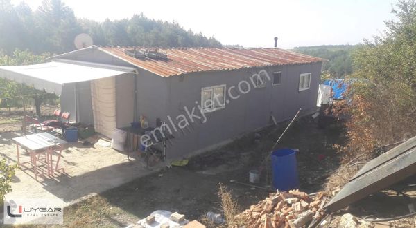 Uygar Gayrimenkul'den Yatırımlık Kirazlık Ve Bağ Evi