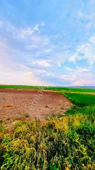 Sincan Anayurt 1435m2 (değerinin Çok Altında) İmara Yakın Yatırımlık Hisse Tapulu
