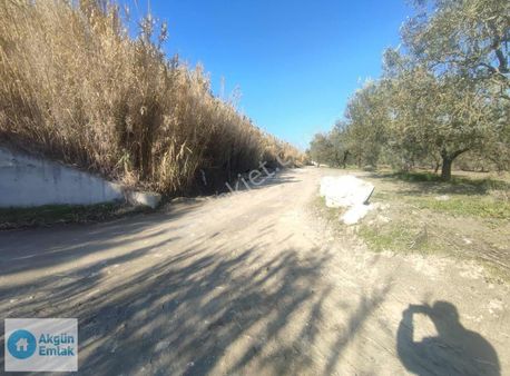 Süleymanlı Mahallesinde Takasa Açık 915 M2 Tek Tapu Hobi Bahçesi