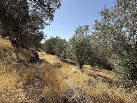 Kurallar Gayrimenkulden Ful Deniz Manzarası İstiyenlere