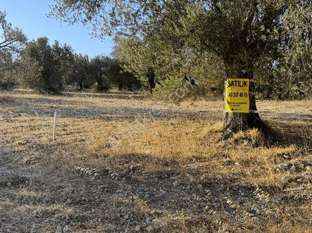 İmarlı Arsa Kurallar Gayrimenkulden