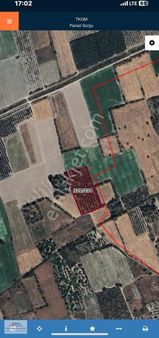 Senirkent Kıbrıs Mah 6100m2 Satılık Tarla