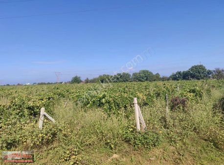 Bilginoğlu Emlak'tan Hasırcı Küme Evleri Tarafında Satılık Bağ