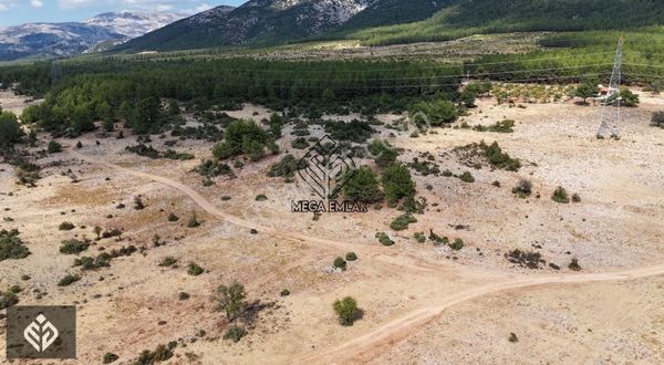 Düğerek Düzen Mevkisinde 15.400 M² Doğa İçinde Yatırımlık Tarla