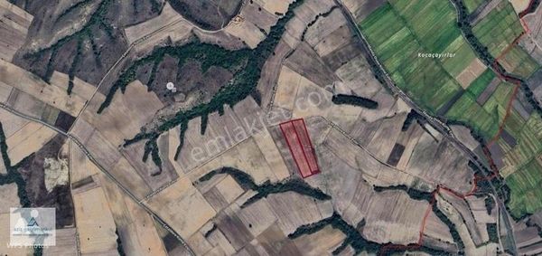 Edirne Uzunköprü De Satılık 29 Dönüm Tarla