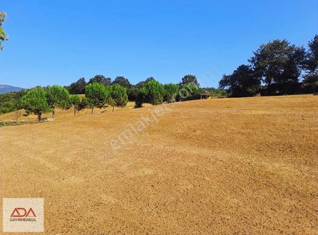 Ada'dan Balıkesir Susurluk Gürece'de Köyiçi Uygun Arsa