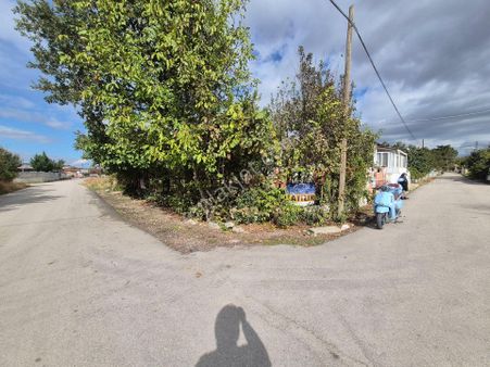 Erkan Anbar Dan Satılık Bahçeli Müstakil Ev Suluova Yenidoğan Mahallesi