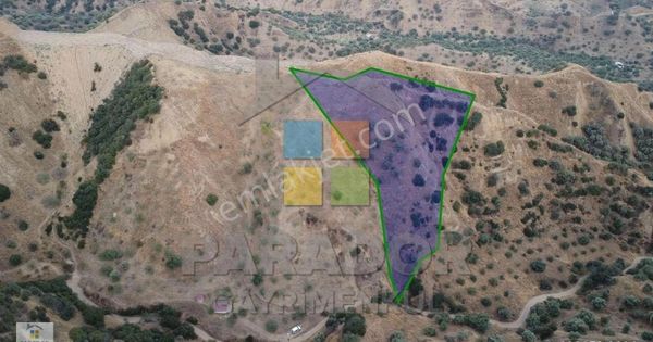 Aydın Nazilli Dereağzı Mahallesinde Satılık 8638 M² Tarla