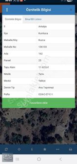 Kumluca Kuzca 11.625 M² Tek Tapu Satılık Tarla