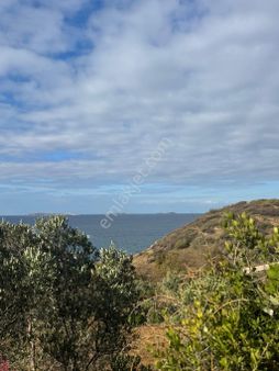 Balıkesir Bandırma Sahil Yenice Mahallesi