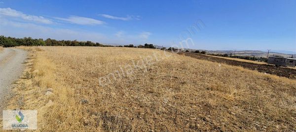 Uluoba'dan Merkez Ekrüz'de Yatırımlık Tarla