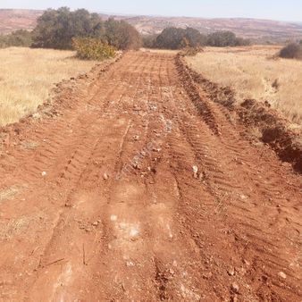 Nizip Kıratlı Mh Satılık Fuul Zeytinlik