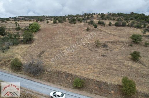 Manisa Köprübaşı Huriler 226 Dönüm Arazi