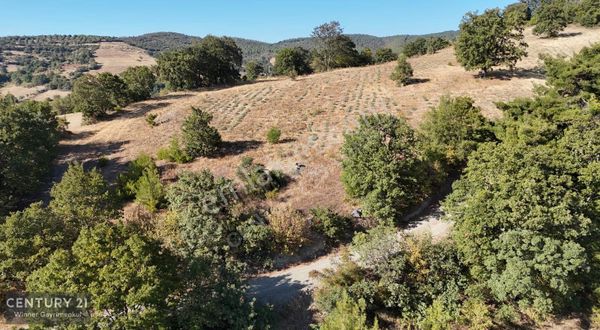 C21 Winner Örenharman'da 13.906m² Satılık Tarla