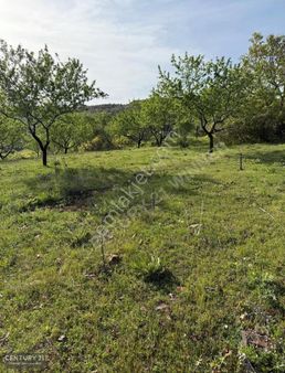 C21 Winner Kepsut Örenharman 8.207m² Satılık Bademlik