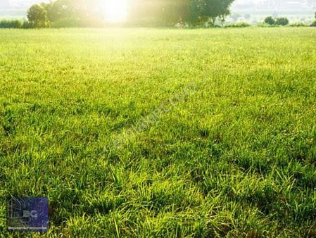 Başkent Gayrimenkul'den Göveçlikte 530 M2 Arsa