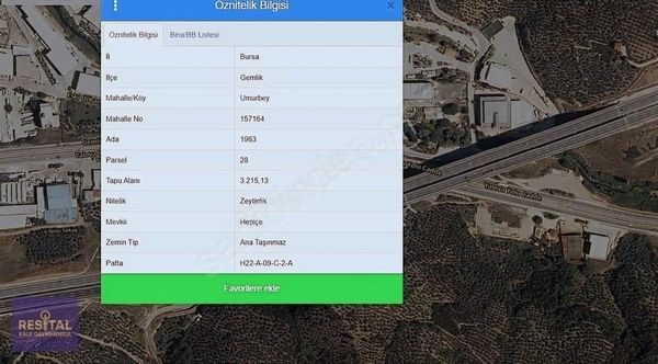 Gemlık Umurbey Köyü Hepiççe Mevkii Satılık Zeytinlik
