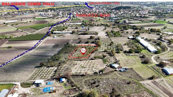 Altıeylül - Pamukçu Mah. 2.583 M2 Satılık Bademlik Tarla