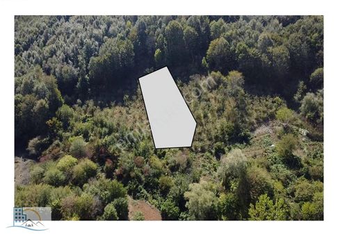 Şile Yaylalı'da Ormana Cephe Satılık %15 İmarlı 1.766 M² Arsa