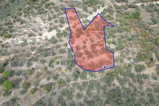 Dikili Kıroba Mahallesinde Satılık Yatırımlık Zeytinlik.