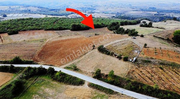 Bursa Yenişehir'e 10 Dk Cennet Koyu 2 Km Yollu Ve Sulama Kuyulu