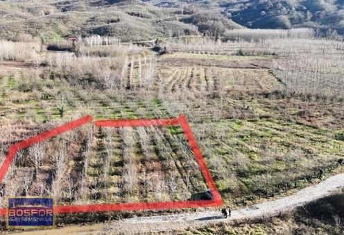 Sakarya Kocaali Satılık Zeytinlik 2565 M2