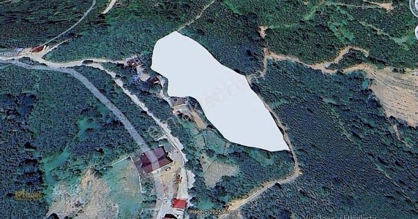 Fatsa Yassıbahçe Mah. Satılık 9518 M2 Arsa