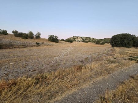Eskişehir Tepebaşı Musaözü Kızılinlerde Satılıktarla