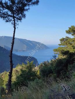 Fethiye Faralya Kabakta Deniz Manzaralı Fırsat Tarla