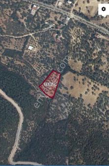 Manisa Saruhanlı Büyükbelen Mah. Satılık Zeytinlik