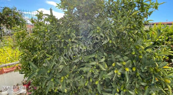 Orjan Sitesinde Yapılı, Otoparklı Ve Geniş Bahçeli Keyifli Villa