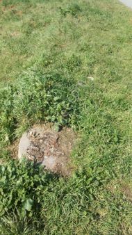 Şile Çayırbaşında % 50 Kat Karşılığı Düşeş Kazandıracak Arsa No:94