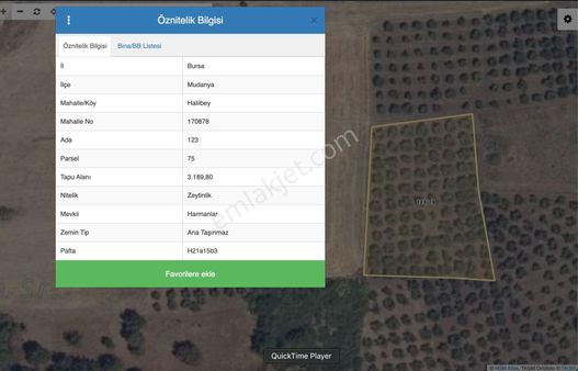 Mudanya Halilbey Mahallesi Satılık 3189 M2 Arazi