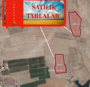 Yaman'dan Bolvadin Kale Mah. Satılık 2 Adet Tarla ( 49.000 M² )