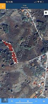 Kocaeli Kandıra Erikli Köyü 4.283 M2 Acil Satılık Tarla