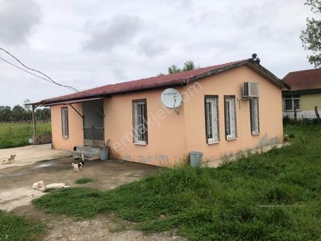 Terme Çanaklıda Çiftlik Sıfır Daire Takaslı 16142 Metrekare