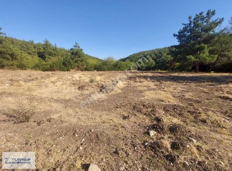 Turyap Bornova'dan Yakaköy'da Satılık 4.158 M2 Tarla