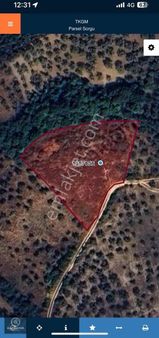 Ful Göl Manzaralı Hobi Bahçesi